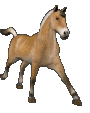 běh