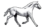 cval