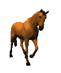 chcíplinka
