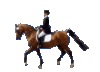 poslušnost