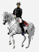 jezdec na koni