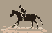 kůň s černým pozadím